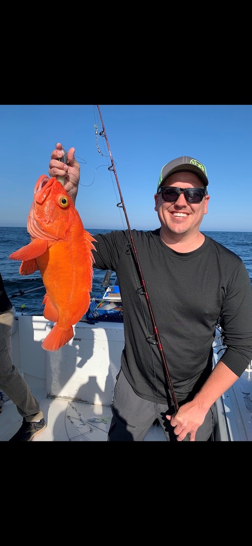 Yelloweye Rockfish Catch