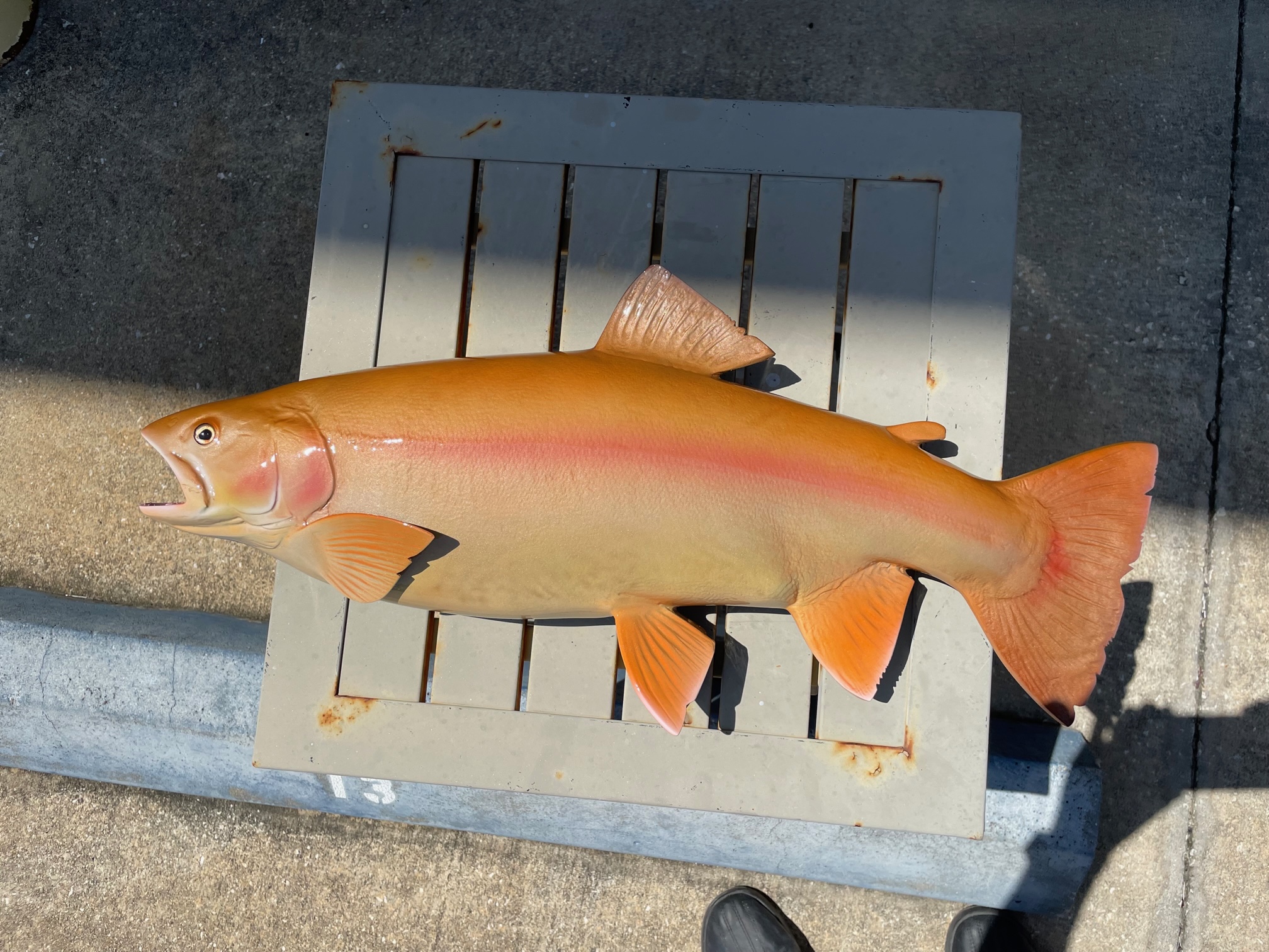 21 Palomino Trout Full Mount Fish Replica Customer Proofs 22868 - Mount  This Fish Co.