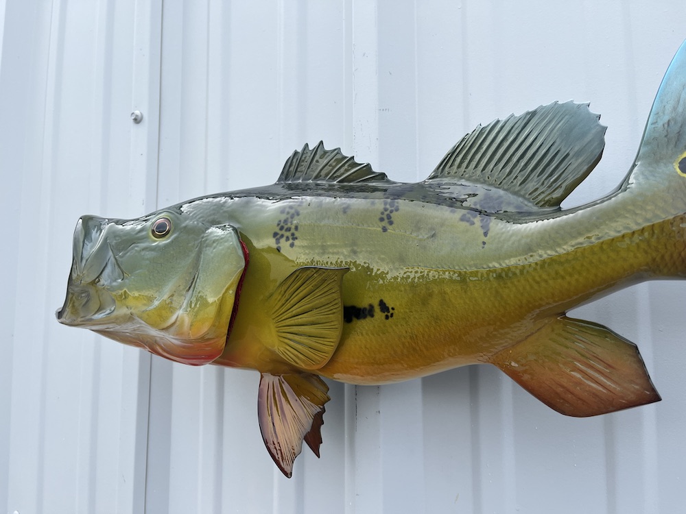 23 peacock bass fish replica 23058