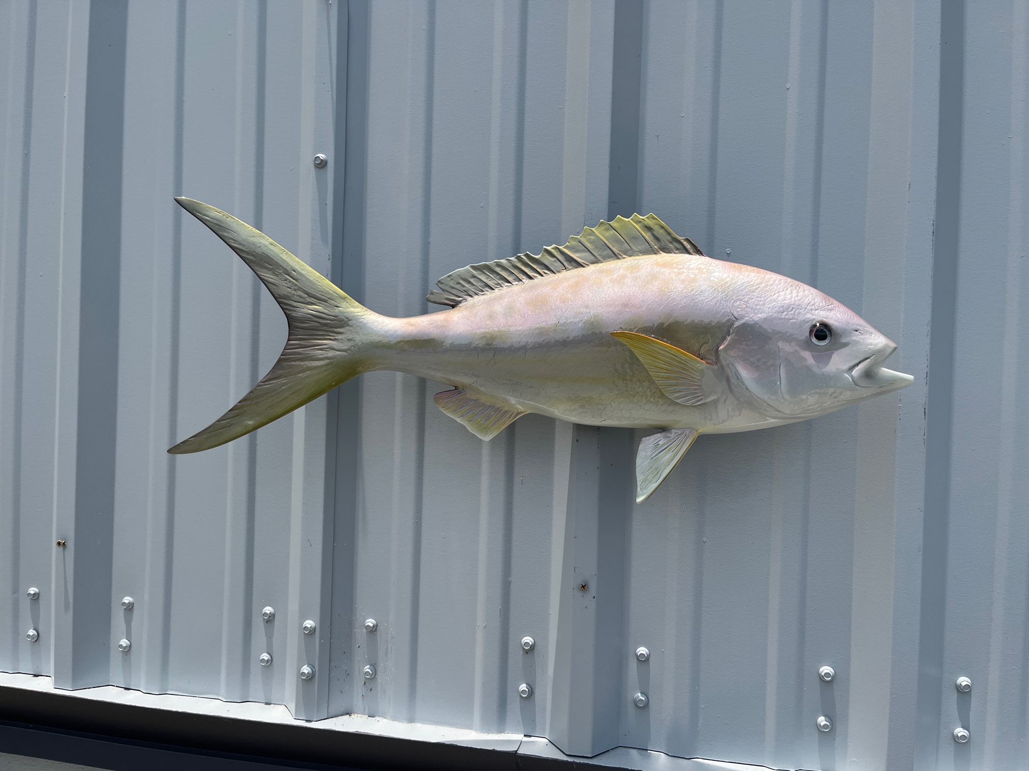 27 Yellowtail Snapper Full Mount Fish Replica Customer Proofs 22870 - Mount  This Fish Co.