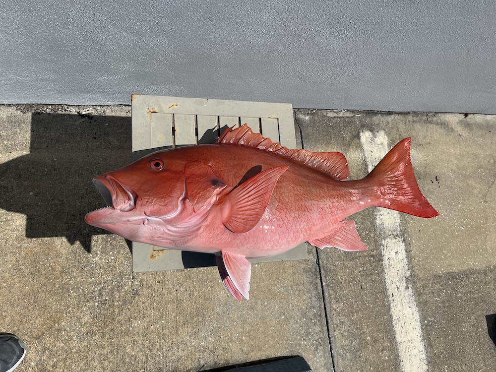 32 inch red snapper reproduction 23155 proof