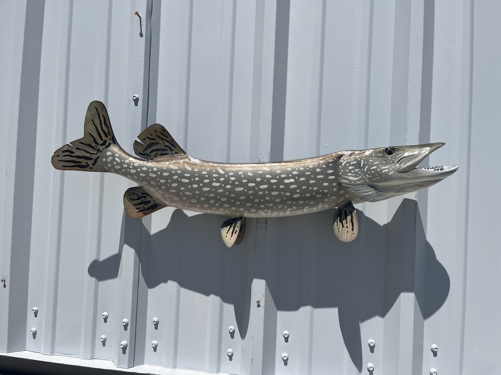 32 northern pike side view proofing 23278
