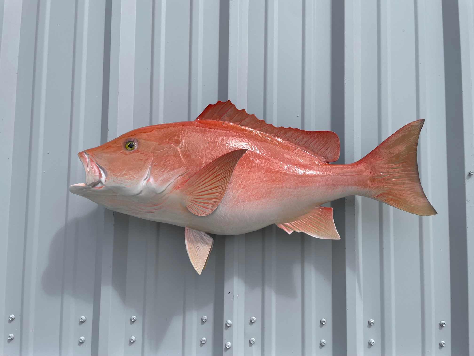 Snapper, Yelloweye - Fish Mounts