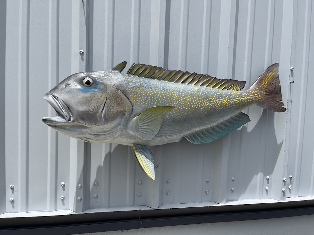37 inch golden tilefish fish replica 22960