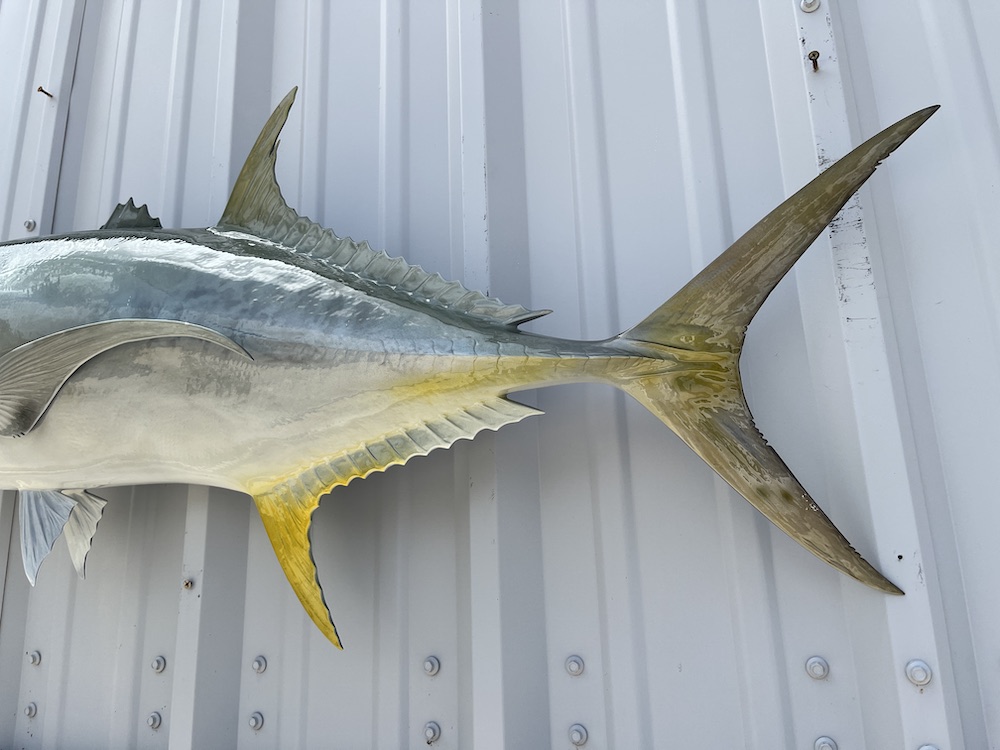 42 inch jack crevalle reproduction 22963