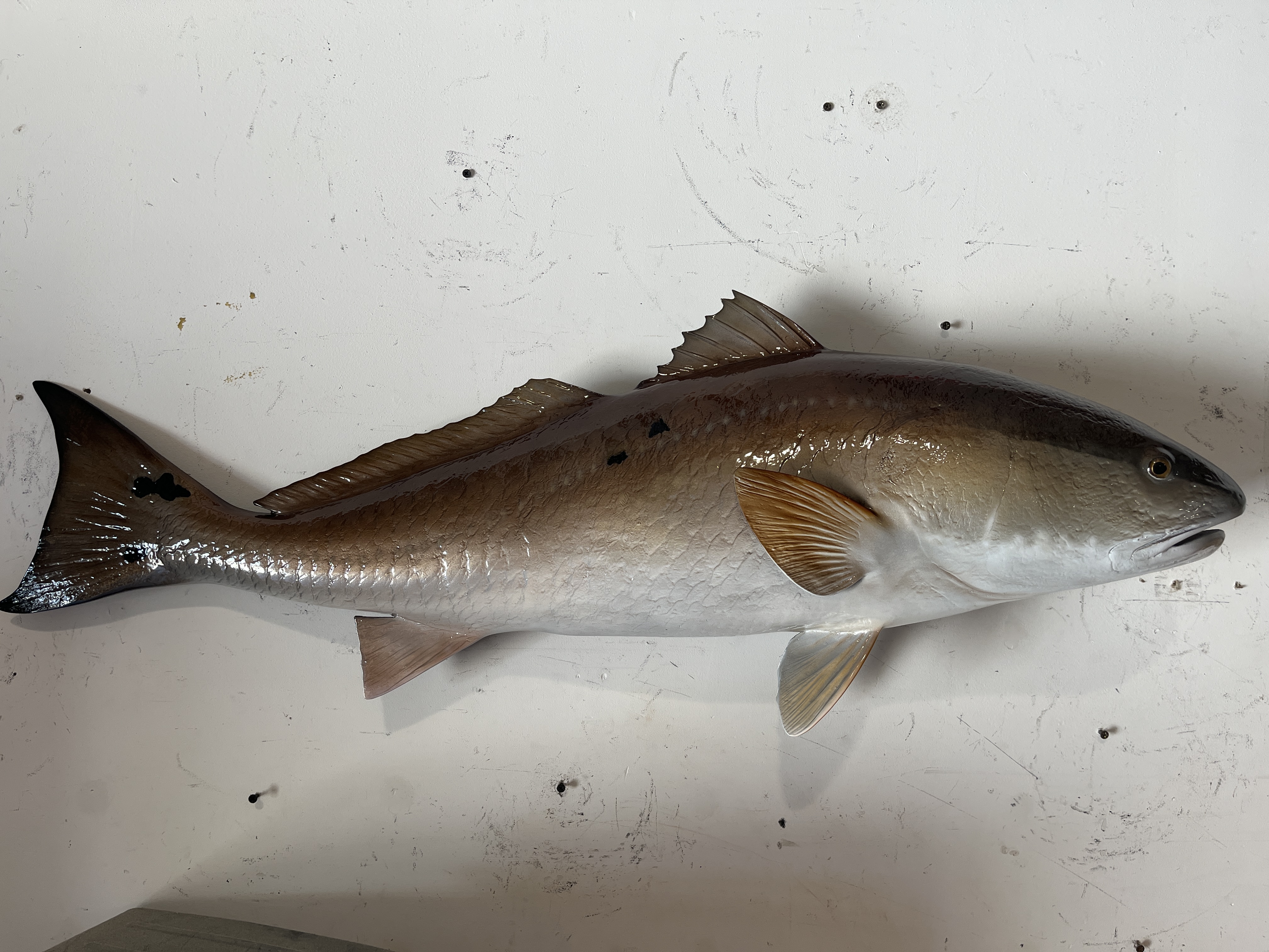43 inch redfish replica 22991
