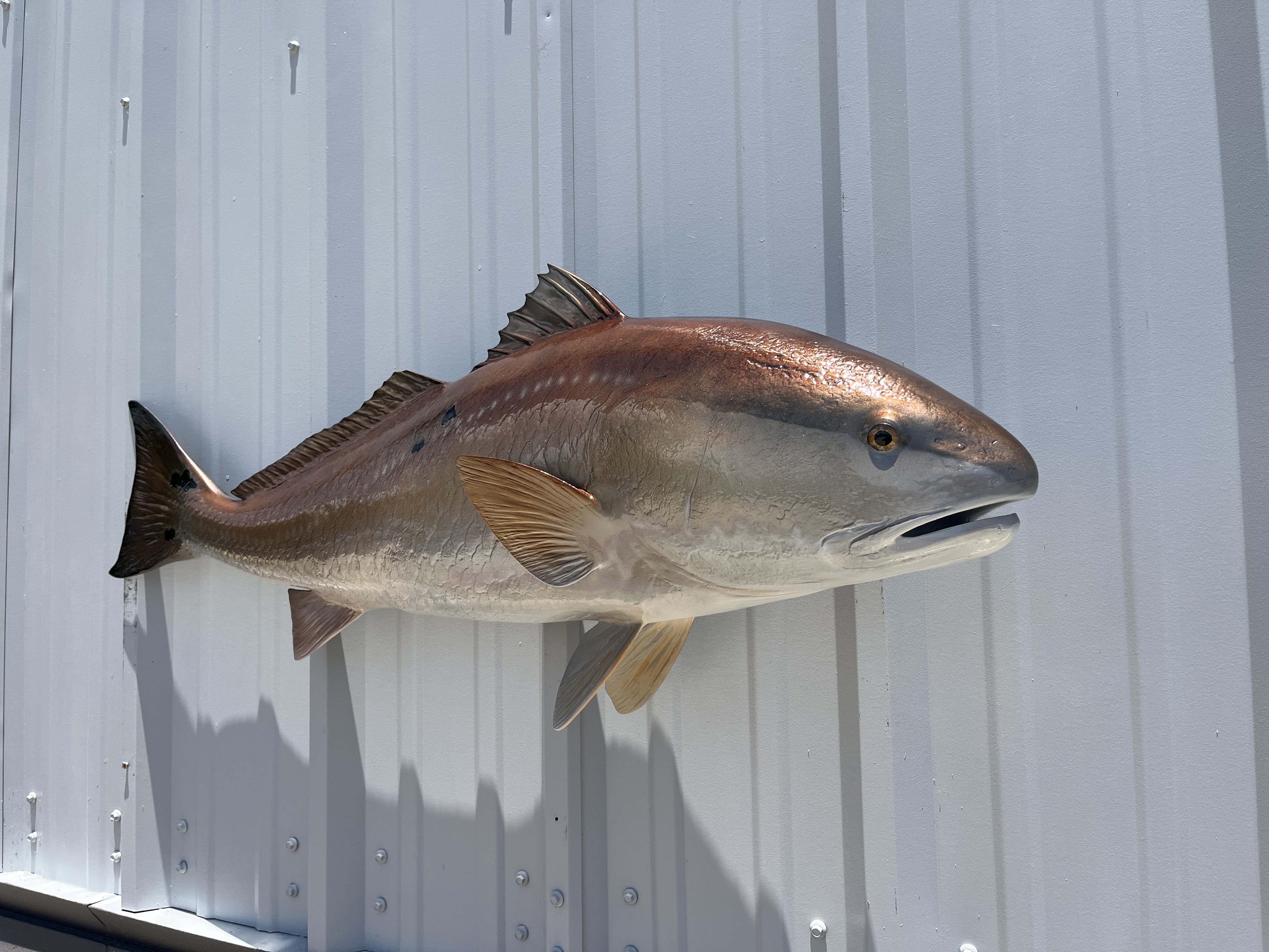 43 inch redfish replica proof 22991