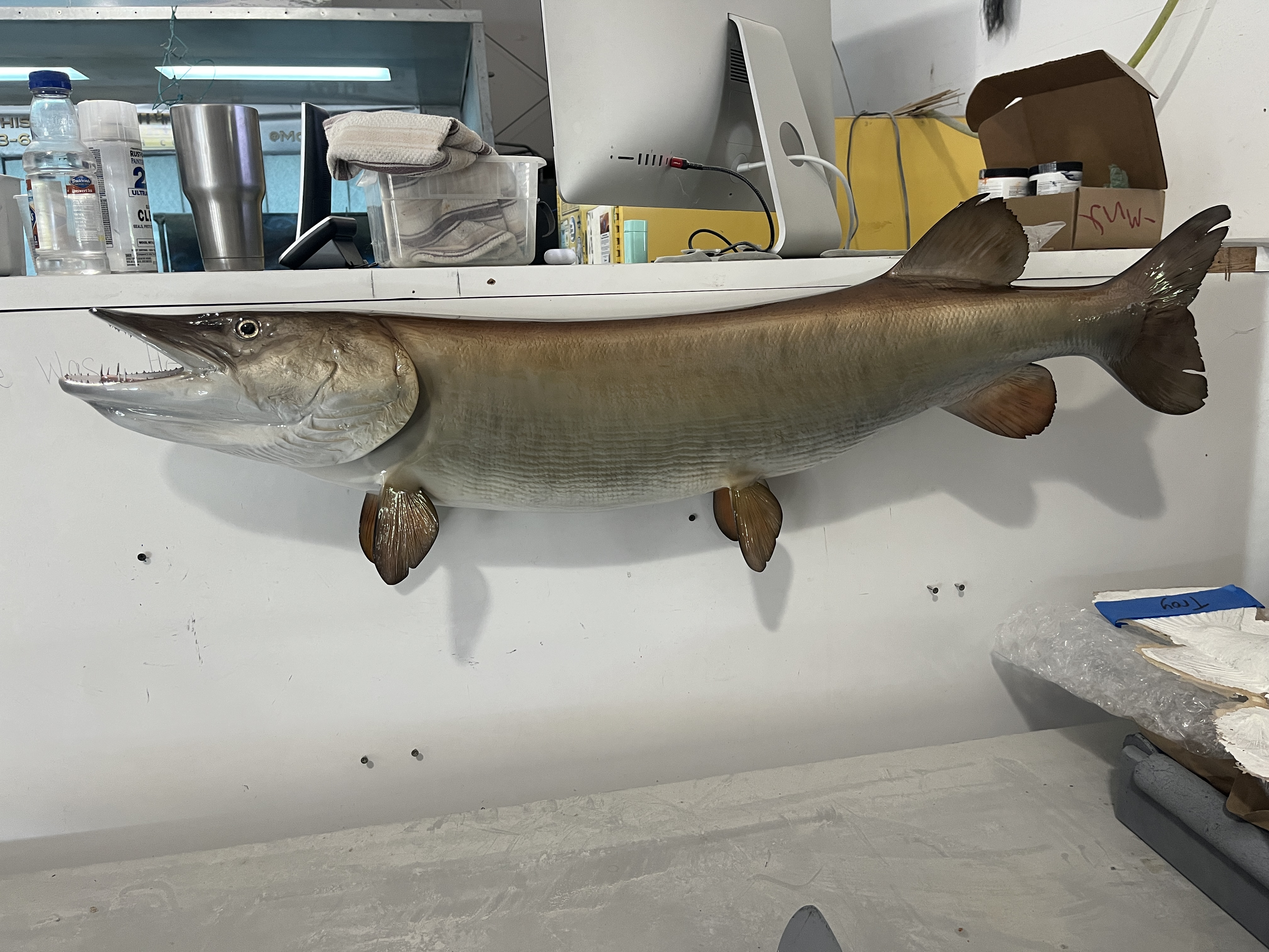 47 inch muskie fish replica 22981