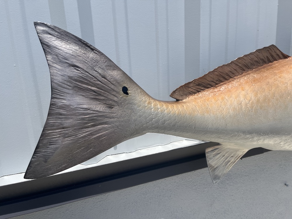 48-redfish-fish-mount-proof-23150