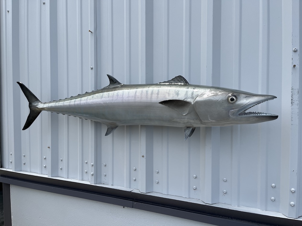 49 inch kingfish replica 23068