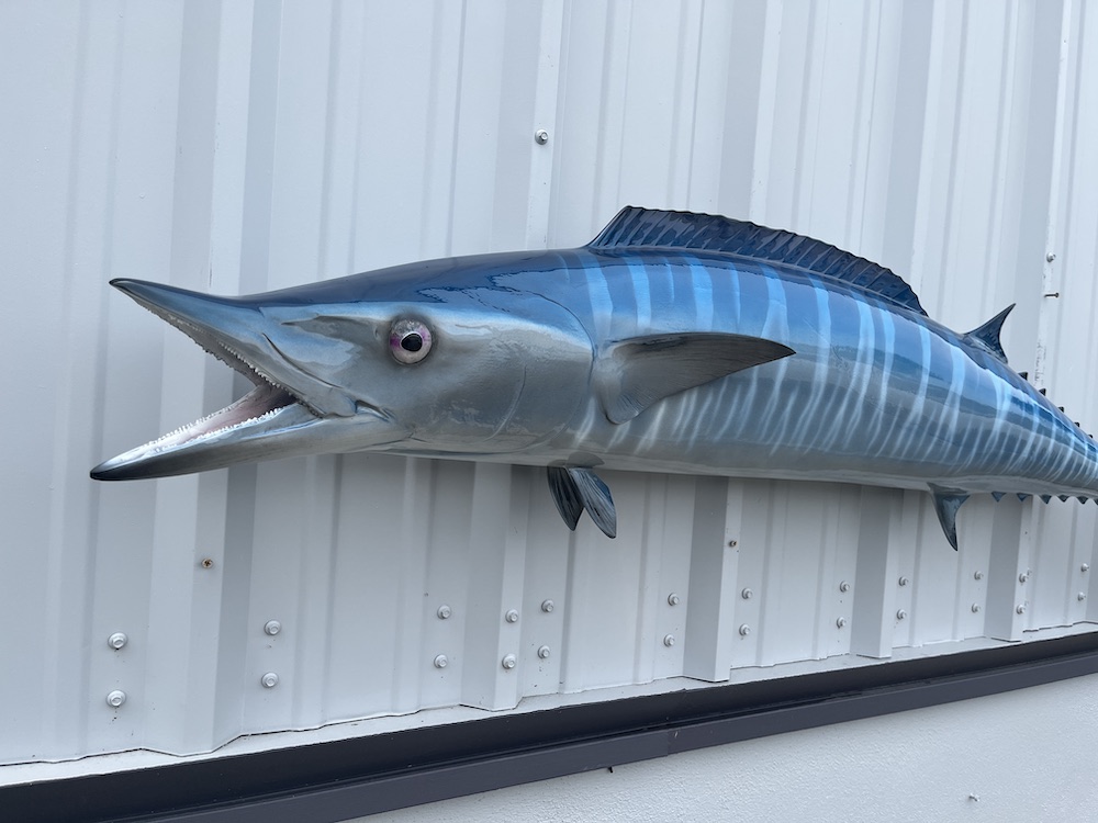 67 inch wahoo replica 22927