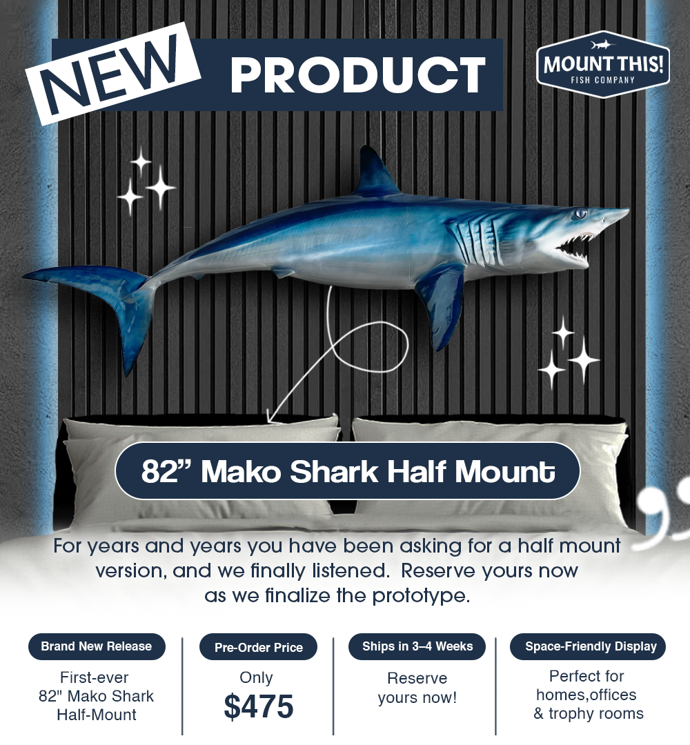 82 Inch Mako Shark Half Mount 82 Inch Mako Shark Half Mount New Product