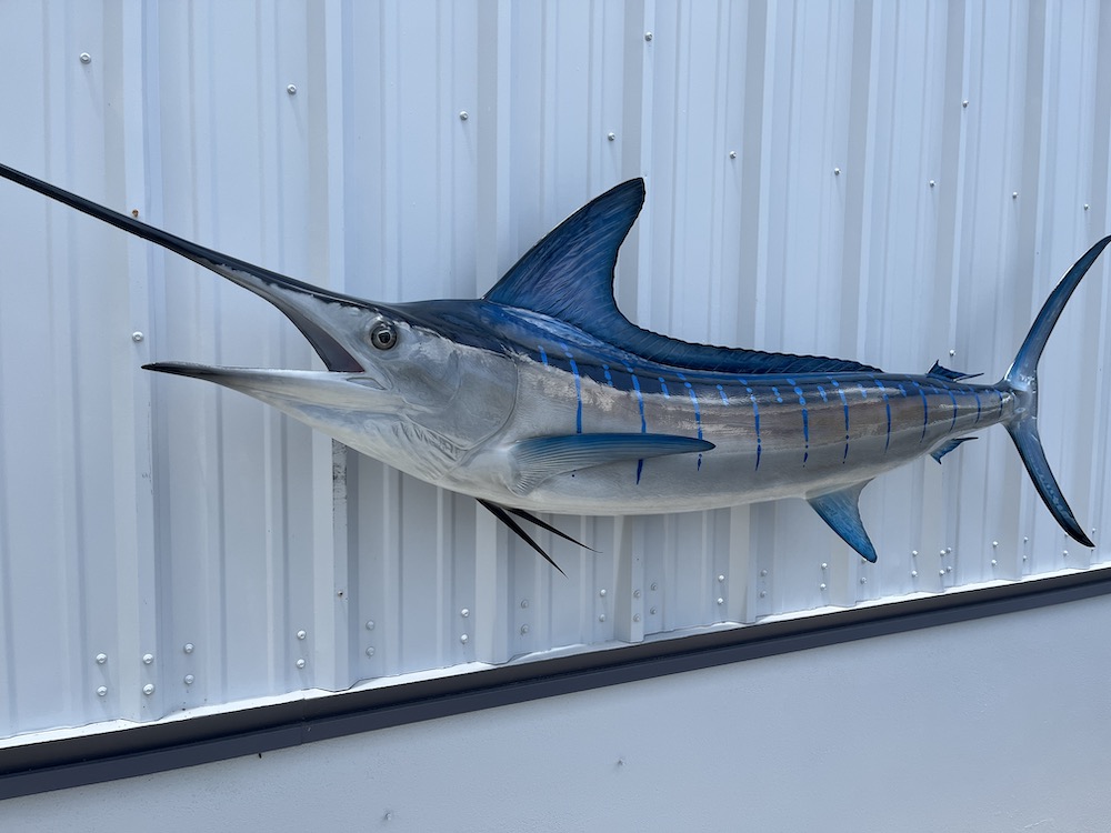 98 inch striped marlin replica 23036