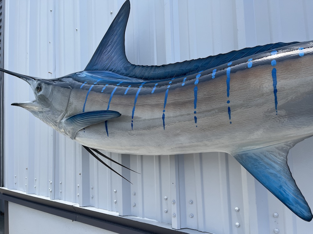 98 inch striped marlin reproduction 23036